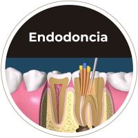 IMAGEN SERVICIO DRA_Mesa de trabajo 1 copia 6